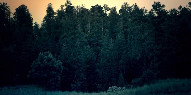 从单向捐赠到价值共创：企业社会责任与公益项目结合的三大创新模式