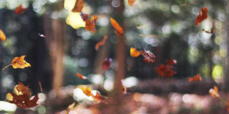 从爱心到成效:如何科学评估乡村教育公益项目的长期影响