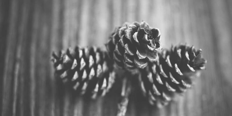 公益人,请先照亮自己:破解职业倦怠的三大心理支持与可持续发展路径