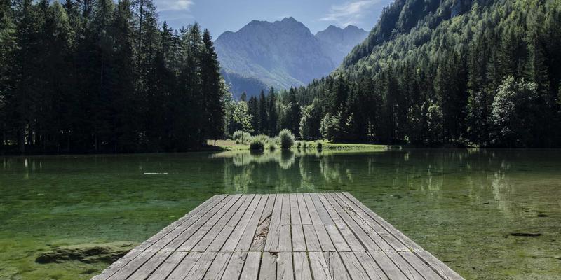 公益创投:当风险投资思维遇上慈善事业,如何重塑社会创新格局?