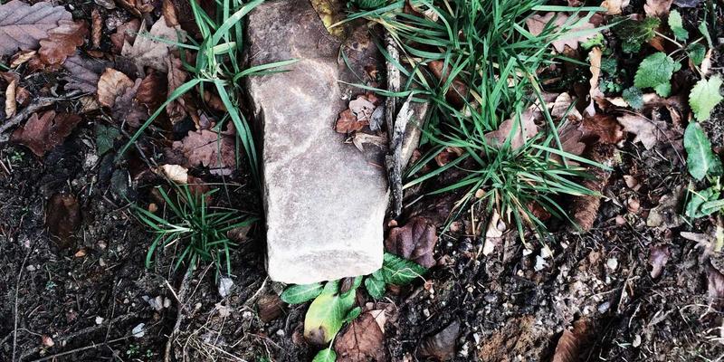 告别模糊感动:如何构建科学的公益项目影响力量化指标体系