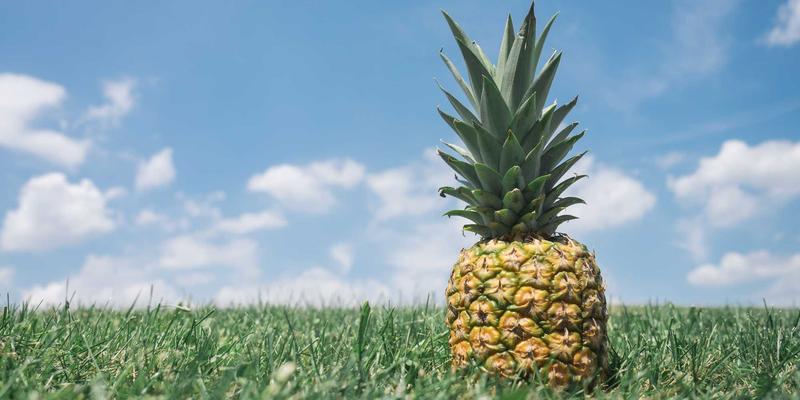 当科技大脑遇见公益之心：跨界合作如何重塑社会难题的解题方程式